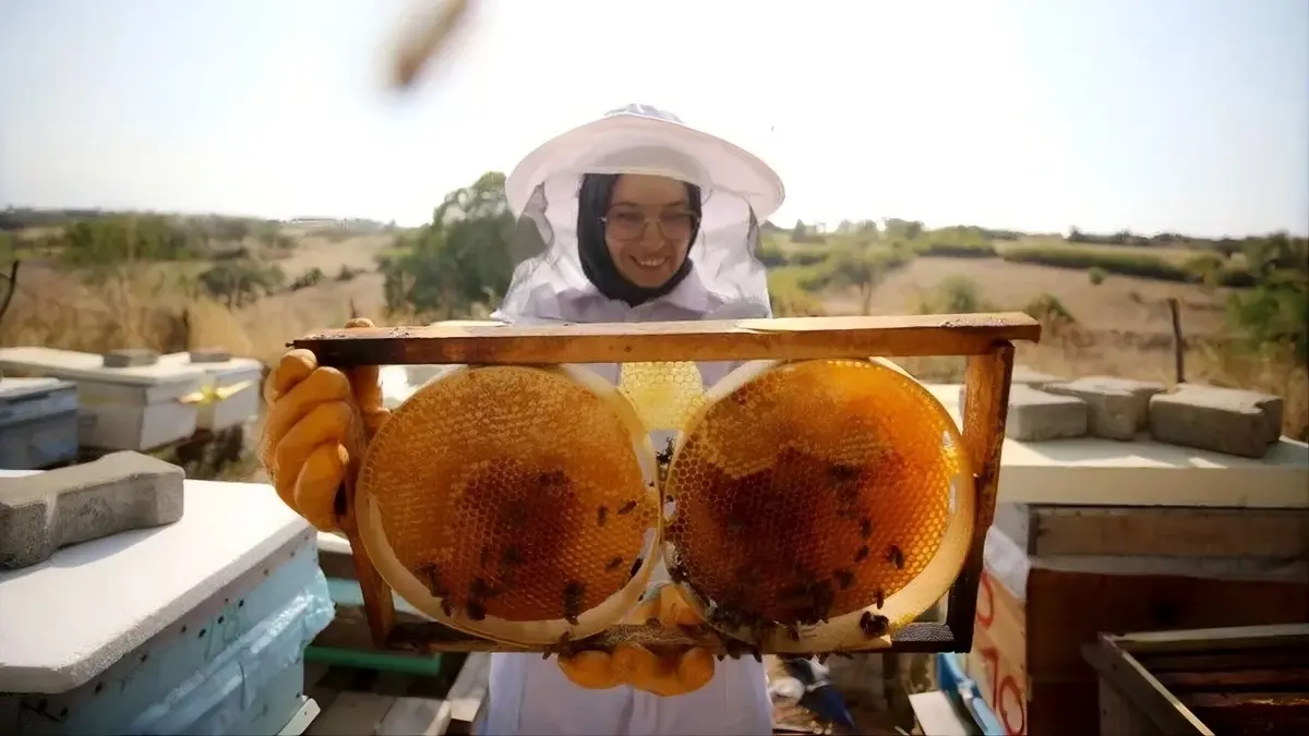 Türkiye aims for top spot in honey production